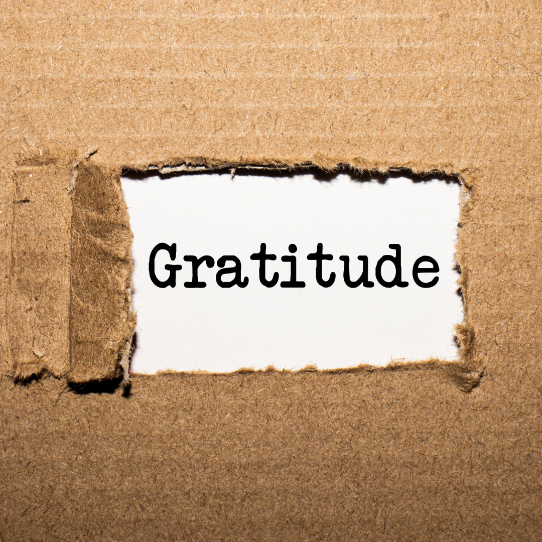 The Power of Gratitude: How Taking a Moment Each Day Can Transform Your Outlook on Life